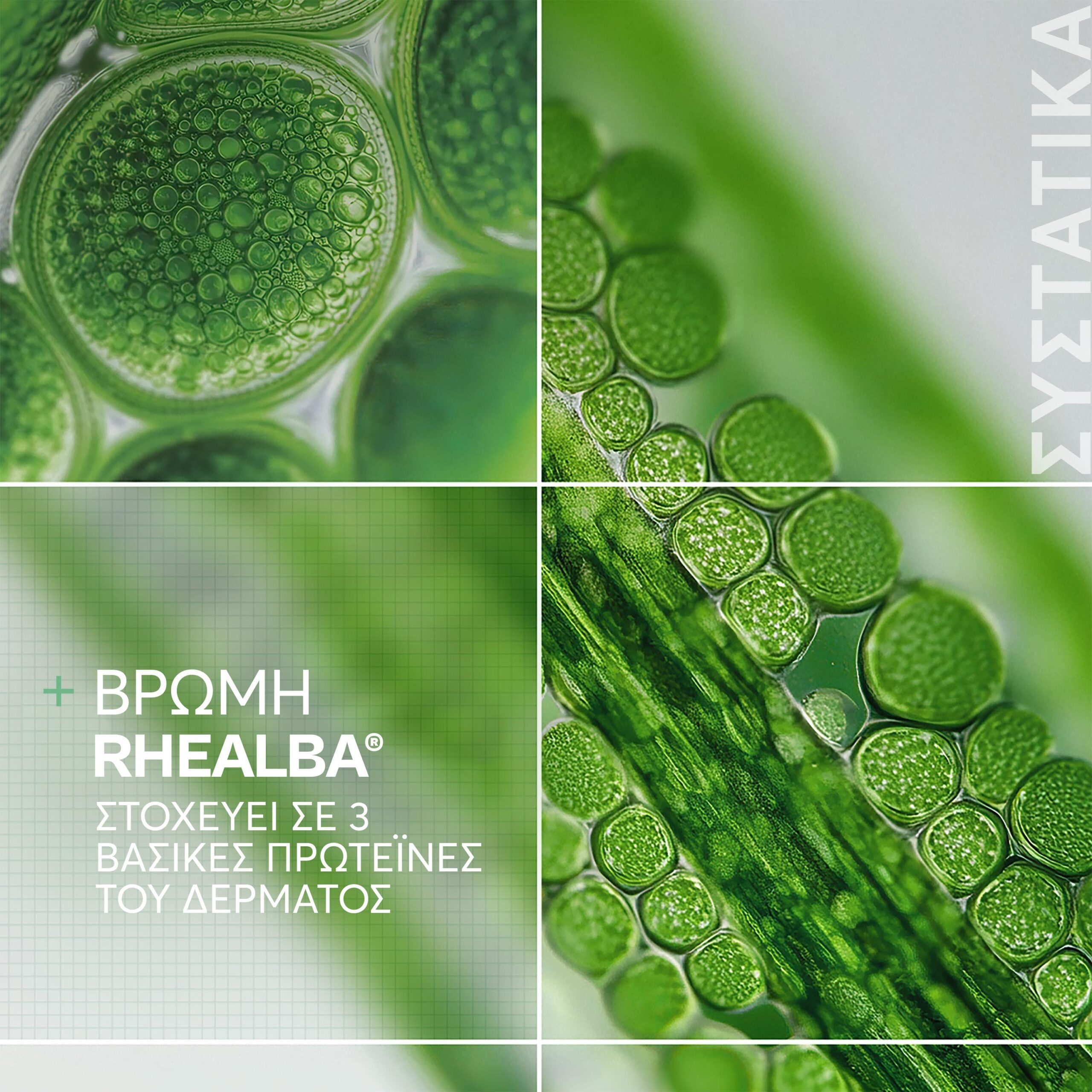 A-Derma Duo Exomega Control Μαλακτικό Gel Καθαρισμού 2σε1 500ml με Έκπτωση 50% στο 2ο Προϊόν 7 A-Derma Duo Exomega Control Μαλακτικό Gel Καθαρισμού 2σε1 500ml με Έκπτωση 50% στο 2ο Προϊόν - Image 7