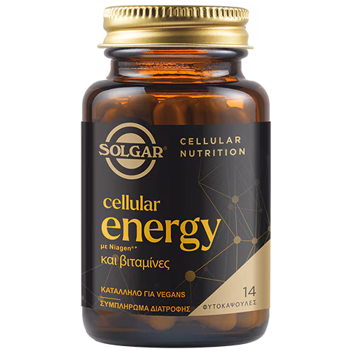Solgar Cellular Energy 14 Φυτικές Κάψουλες 1 Solgar Cellular Energy 14 Φυτικές Κάψουλες
