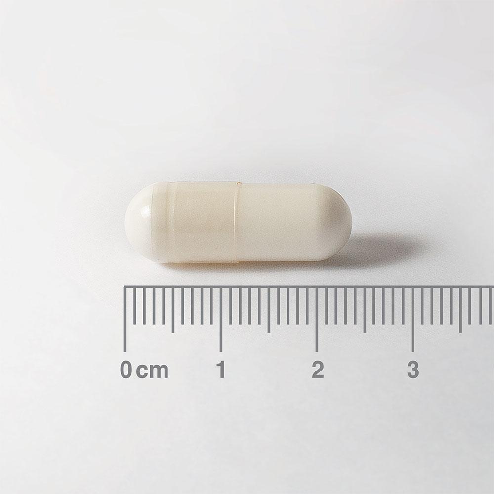 Lamberts Gentle Magnesium Bisglycinate 60 Κάψουλες 2 Lamberts Gentle Magnesium Bisglycinate 60 Κάψουλες - Image 2
